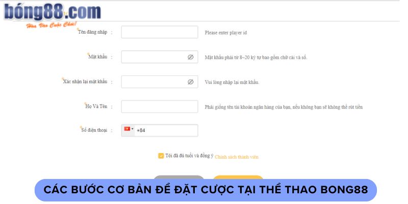 Các bước cơ bản để đặt cược tại thể thao bong88